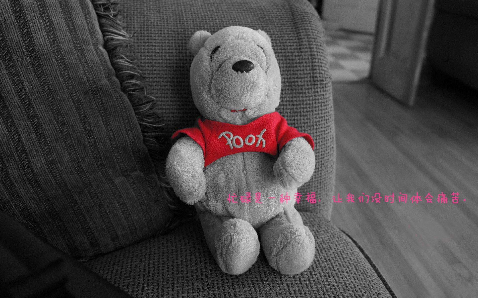 开云esports-传奇球星的“人生第二春”，从退役到影响力巨大的故事，十大传奇球员