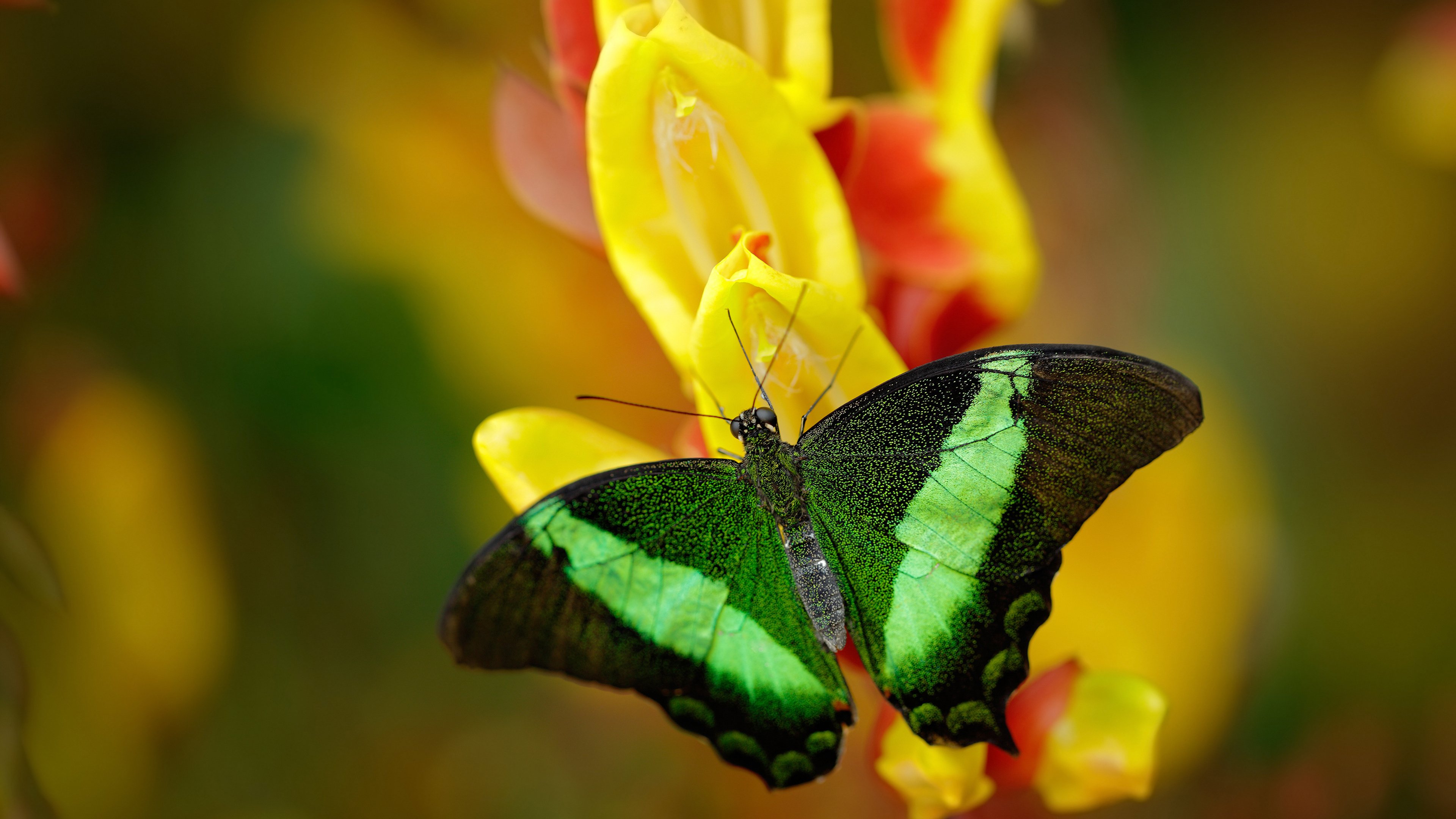 基础设施升级助力:高速网络和智能设备引领行业迈入新纪元,基础设施升级改造
